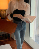 2 in 1 Sheer Long Sleeves Top