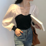 2 in 1 Sheer Long Sleeves Top